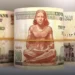 Egyptian banknotes - screenshot. A collection of Egyptian currency notes showcasing the country's rich history and cultural heritage.