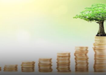 MENA Startups Secure $258 Million in November 2024